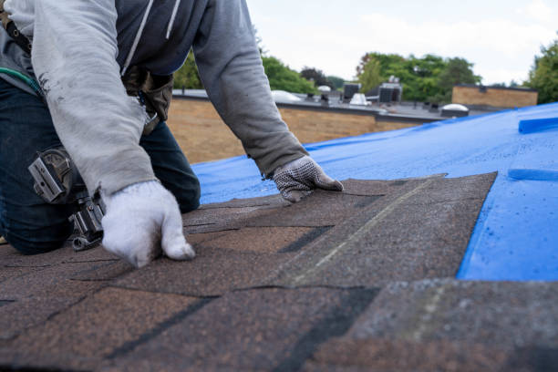 Quick and Trustworthy Emergency Roof Repair Services in Chantilly, VA
